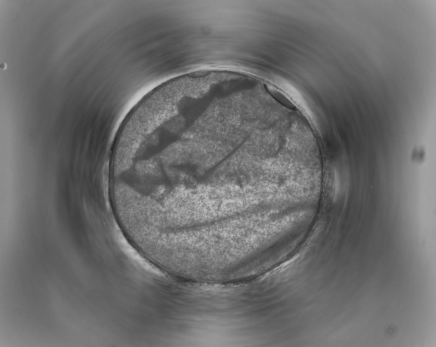 X0000089921100200707201812