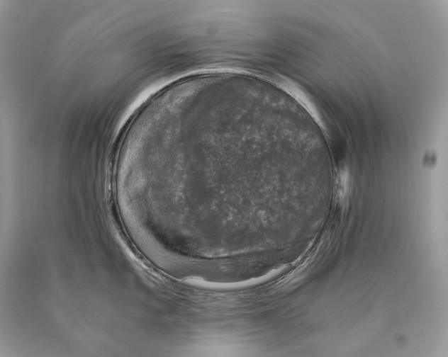 X0000089921101200707201812