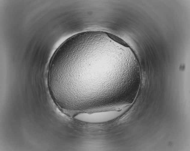 X0000089921102200707201812