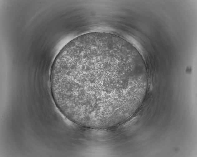 X0000089921103200707201812