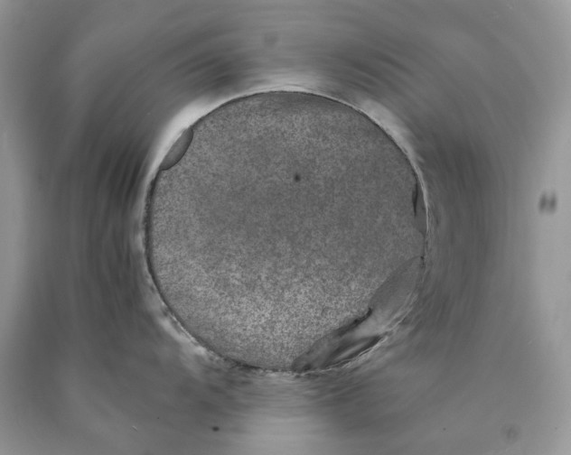 X0000089921104200707201812