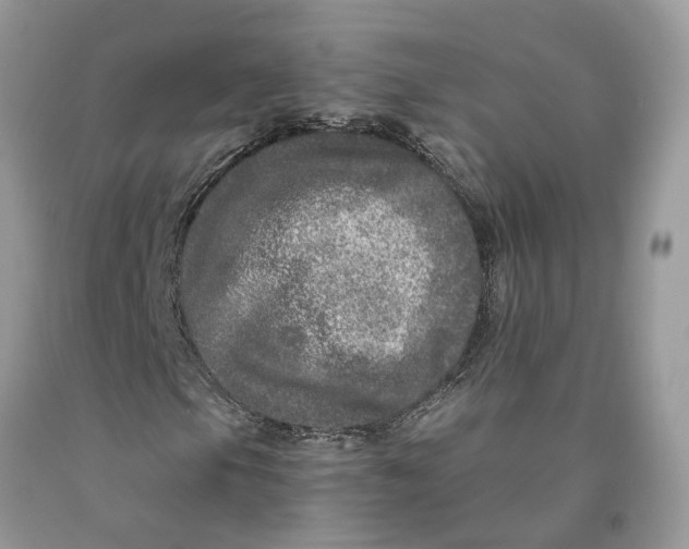 X0000089921105200707201812