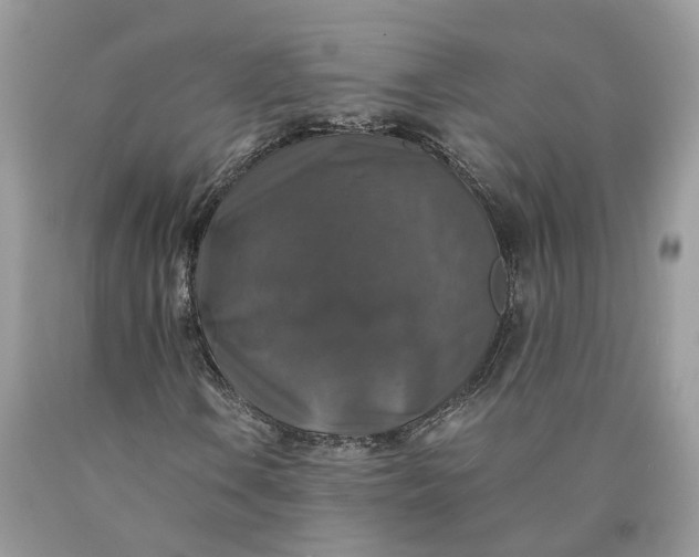 X0000089921106200707201812