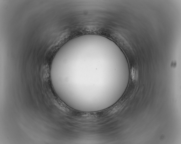 X0000089921107200707201812