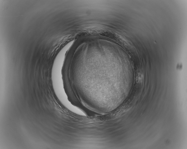 X0000089921108200707201812