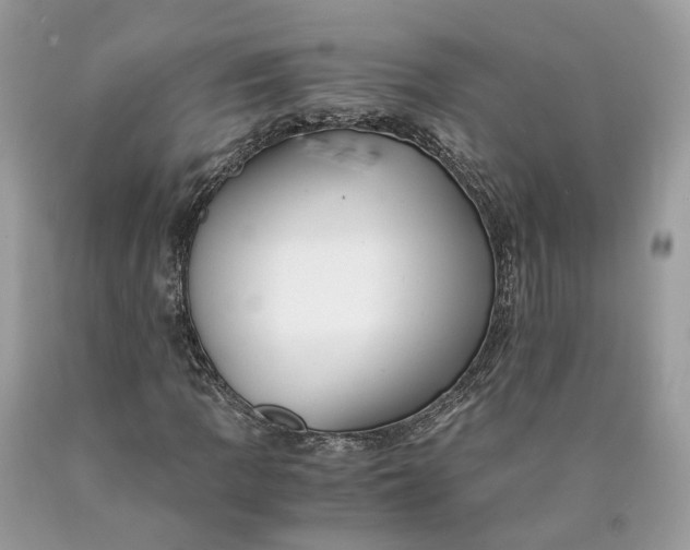 X0000089921109200707201812