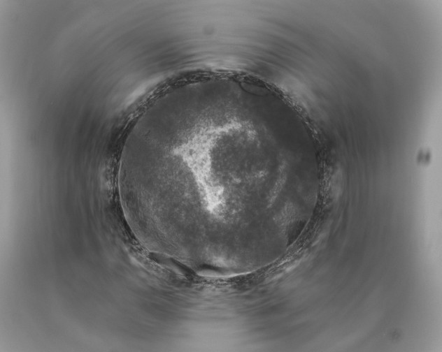 X0000089921110200707201812