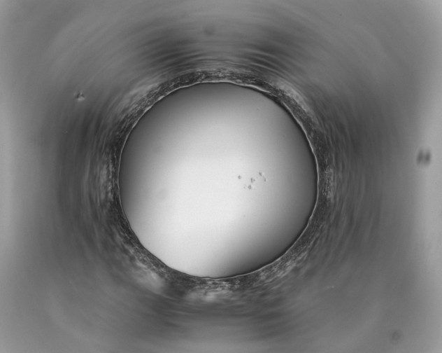X0000089921111200707201812
