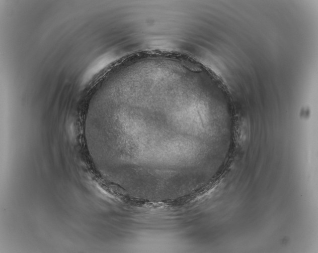 X0000089921112200707201812