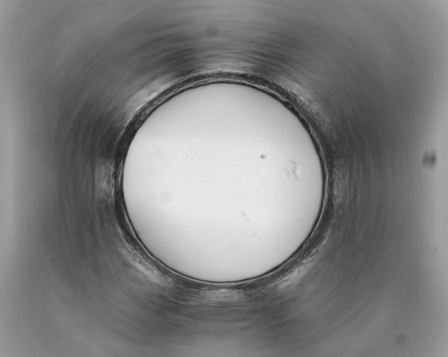 X0000089921113200707201812