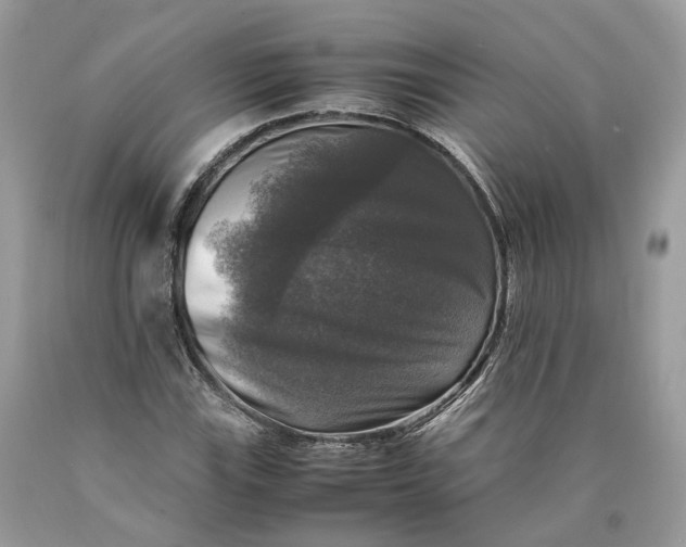 X0000089921115200707201812