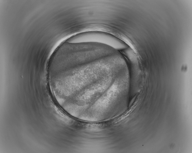 X0000089921116200707201812