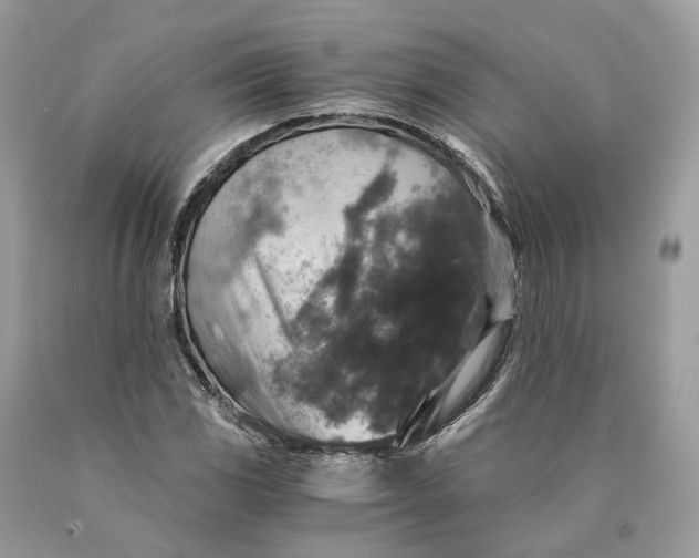 X0000089921117200707201812
