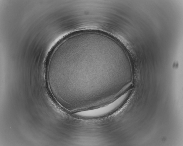 X0000089921118200707201812