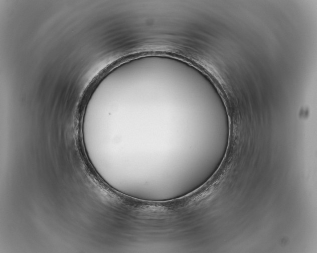 X0000089921119200707201812