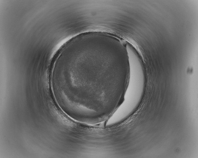 X0000089921120200707201812