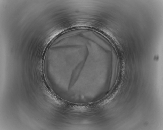 X0000089921121200707201812