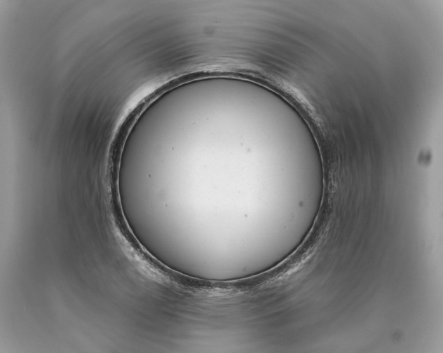 X0000089921122200707201812