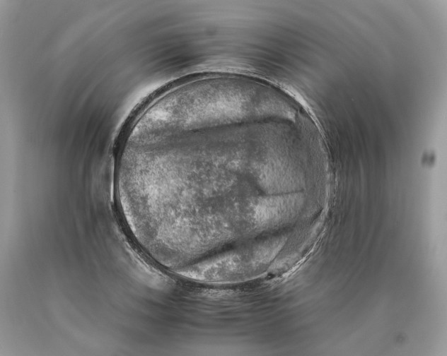 X0000089921123200707201812