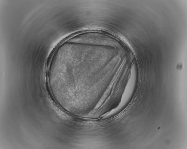X0000089921124200707201812