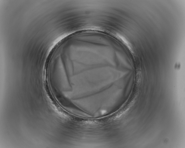 X0000089921125200707201812