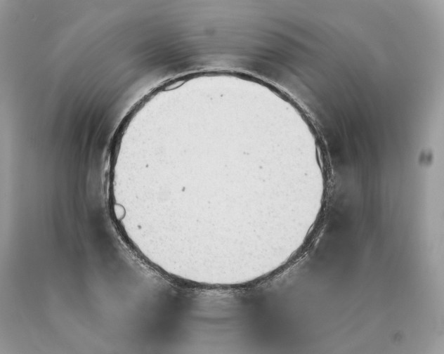 X0000089921126200707201812