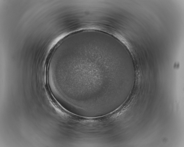X0000089921127200707201812
