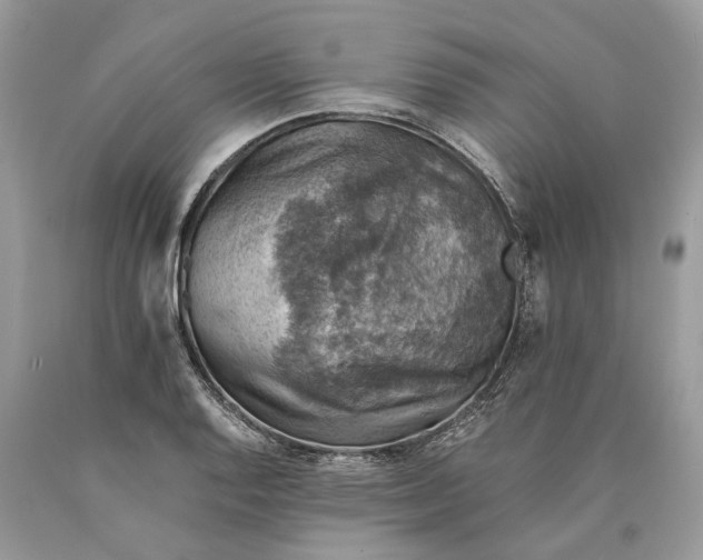 X0000089921128200707201812