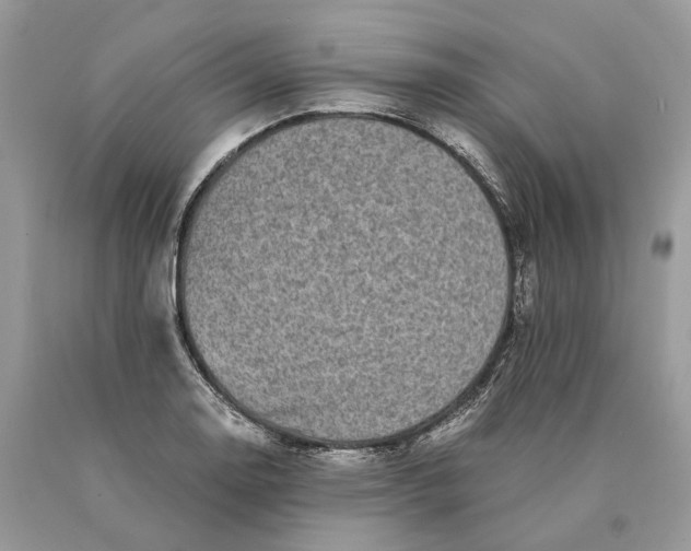 X0000089921130200707201812