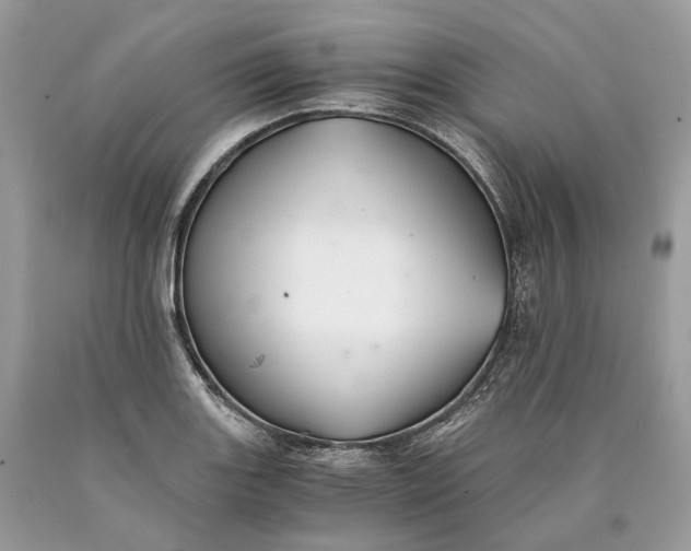 X0000089921131200707201812