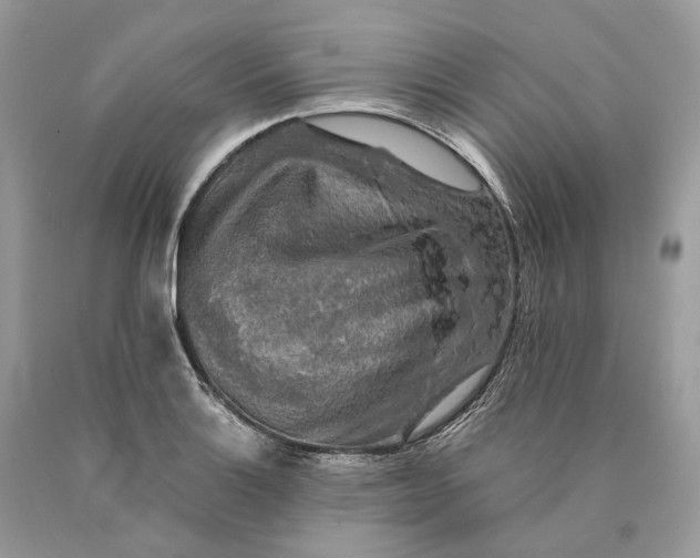 X0000089921132200707201812