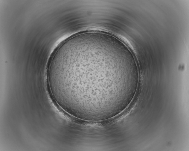 X0000089921133200707201812