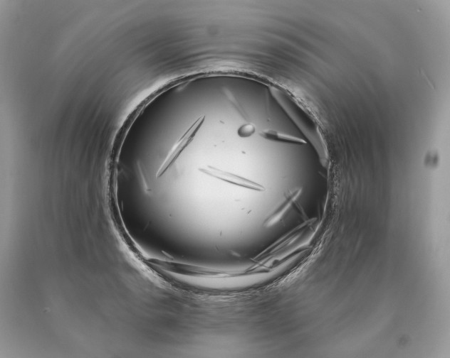 X0000089921134200707201812