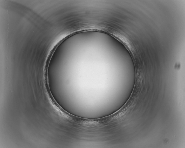 X0000089921135200707201812