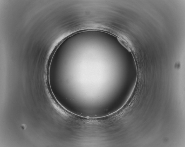 X0000089921136200707201812