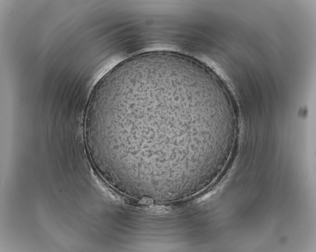 X0000089921137200707201812