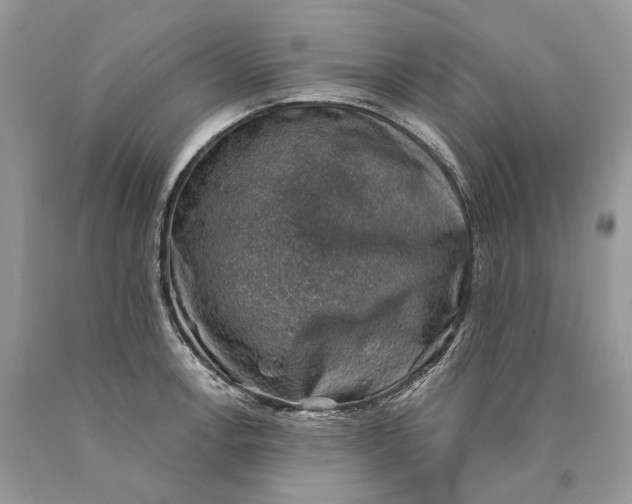 X0000089921138200707201812