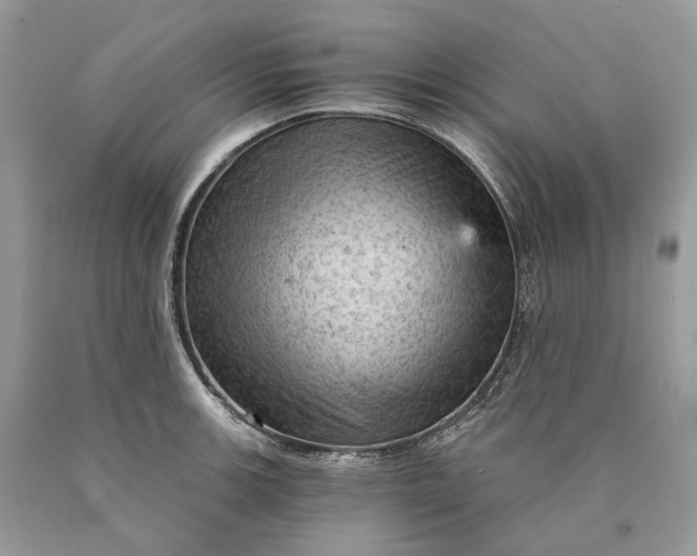 X0000089921139200707201812