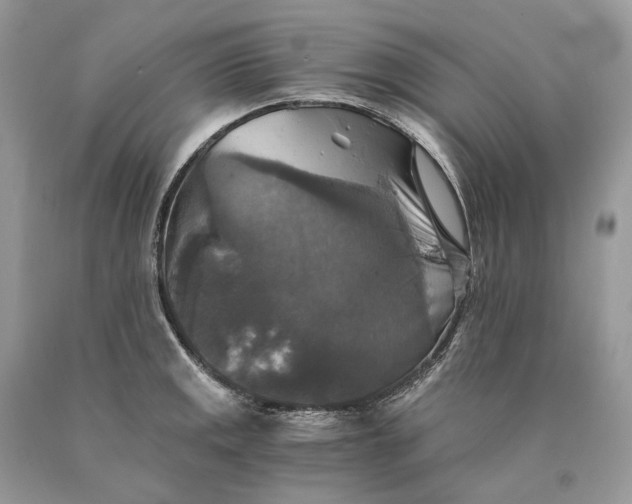 X0000089921141200707201812