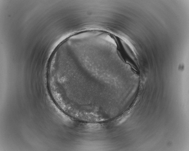 X0000089921142200707201812