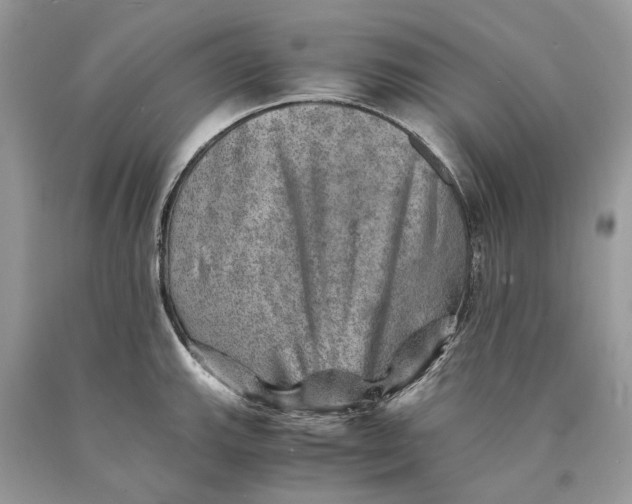 X0000089921143200707201812