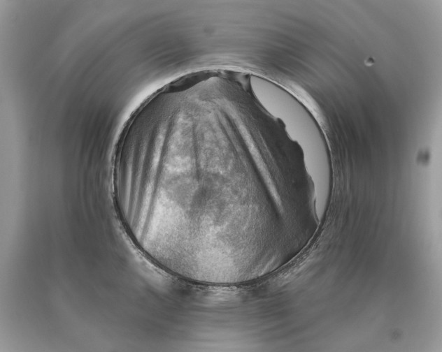 X0000089921144200707201812