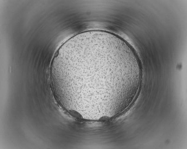 X0000089921145200707201812