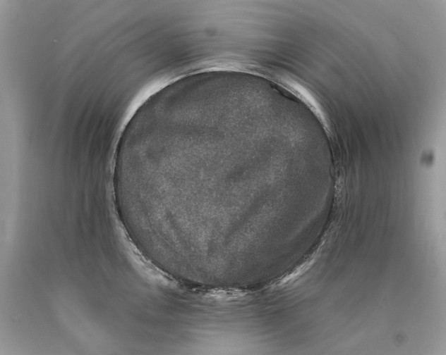 X0000089921146200707201812