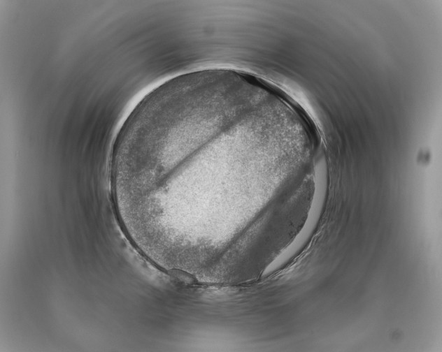 X0000089921148200707201812
