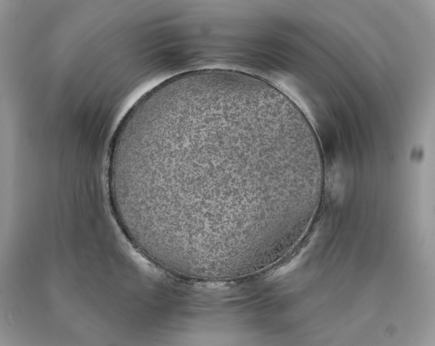 X0000089921149200707201812