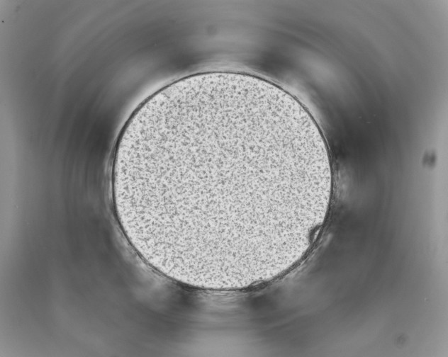X0000089921150200707201812