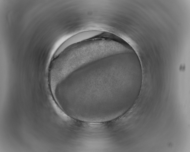 X0000089921152200707201812