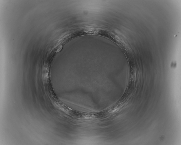 X0000089921154200707201812