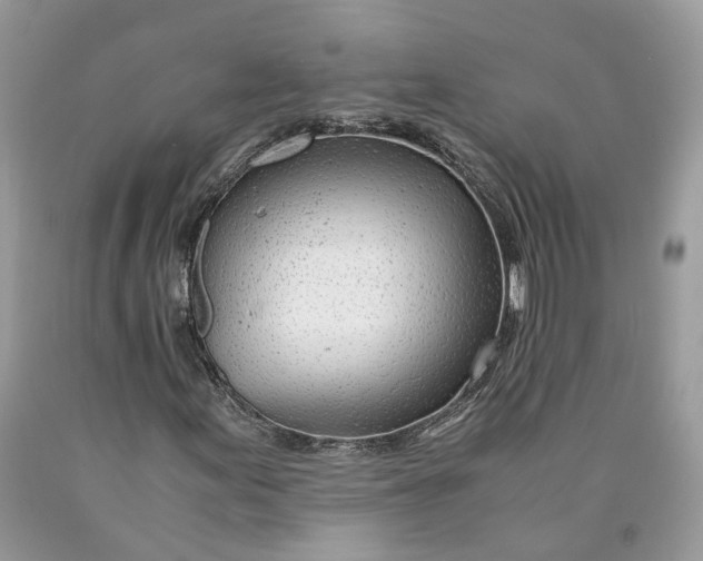X0000089921155200707201812